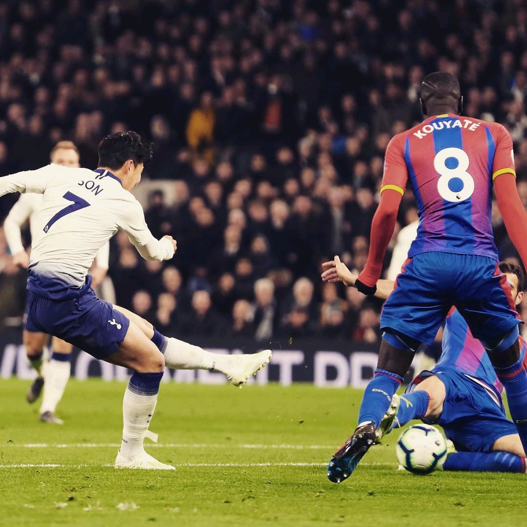 TT日本冠 TT日本冠